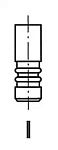 R6128S FRECCIA КЛАПАН 35.9x7x89.9 IN VW/AUDI 1.4/1.9TDI (AMF/AVB) 99-