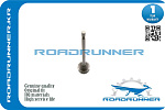 RR222122A100 ROADRUNNER Клапан двигателя выпускной