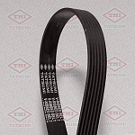TFB1224 TATSUMI Ремень поликлиновой 6PK2050