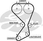 5556XS GATES Ремень ГРМ HYUNDAI SONATA/SANTA FE/TRAJET 2.0 1998=> 173з.