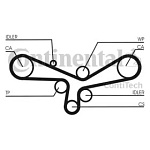 CT920 CONTITECH РЕМЕНЬ ГРМ